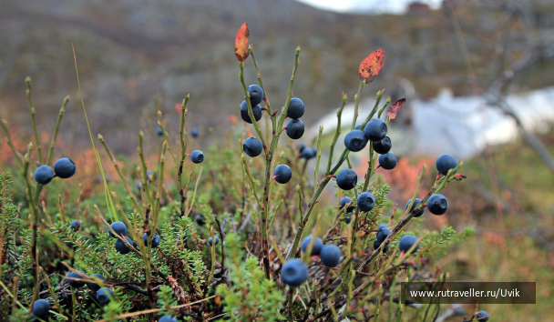 photo 1427339
