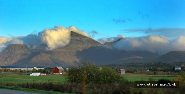 photo 1461988