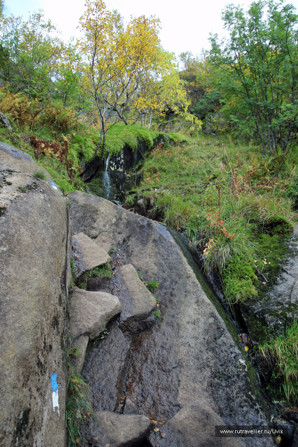 photo 1408864