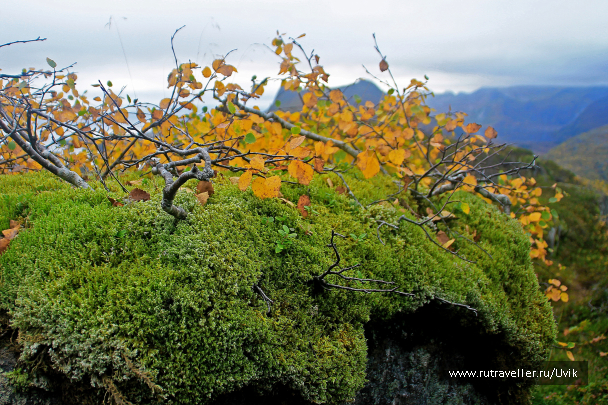 photo 1418673