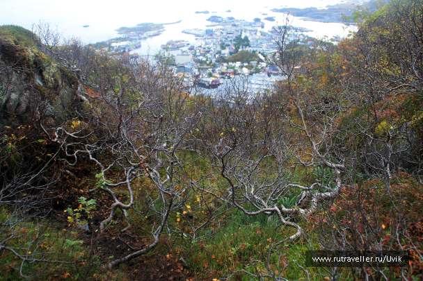 photo 1447427