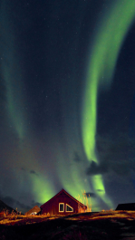 photo 1468993