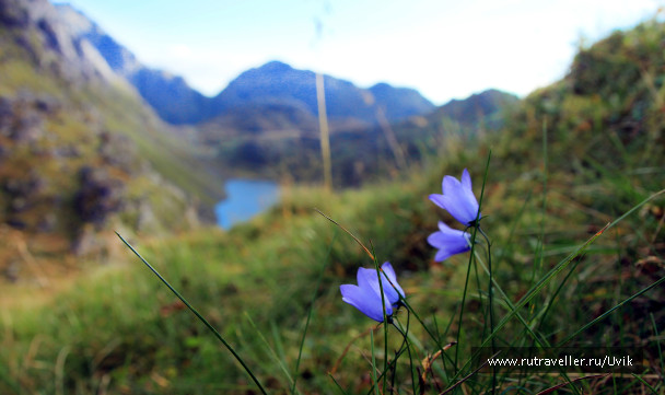 photo 1418355