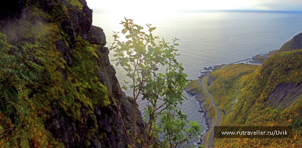 photo 1419781