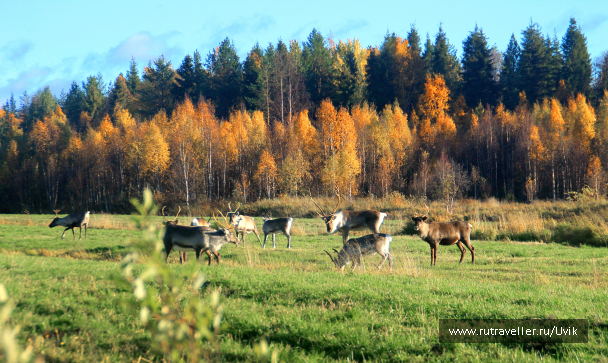 photo 1736177