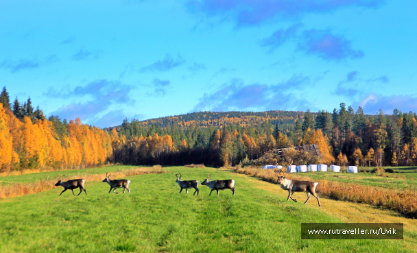 photo 1741752