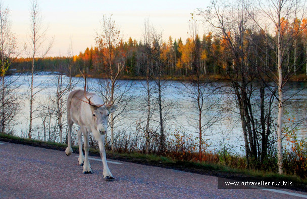 photo 1755292