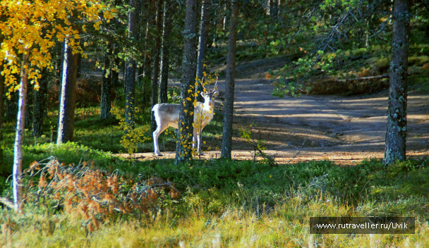 photo 1749736
