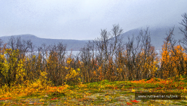 photo 1751454