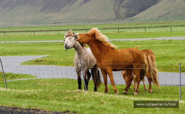 photo 2105157