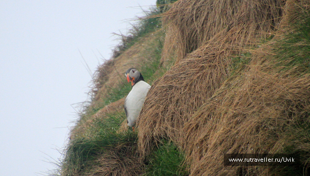 photo 2108778