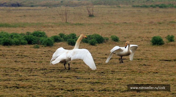 photo 2110781
