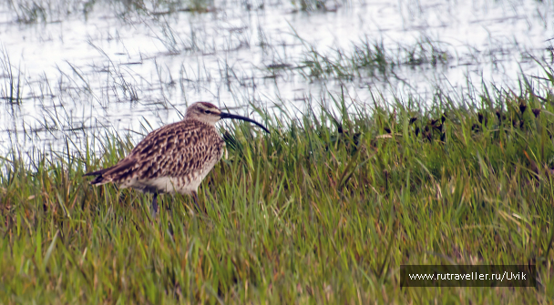 photo 2122273