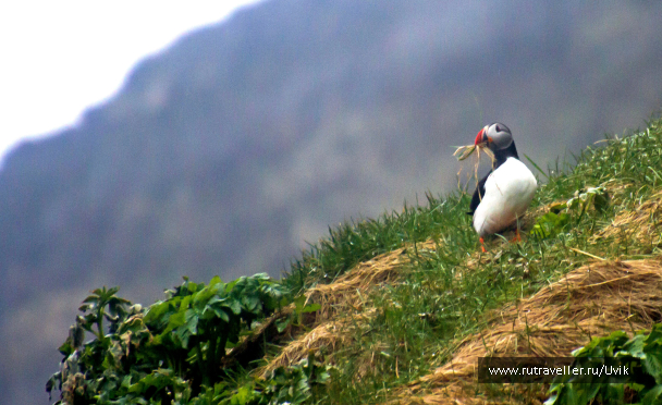 photo 2123302