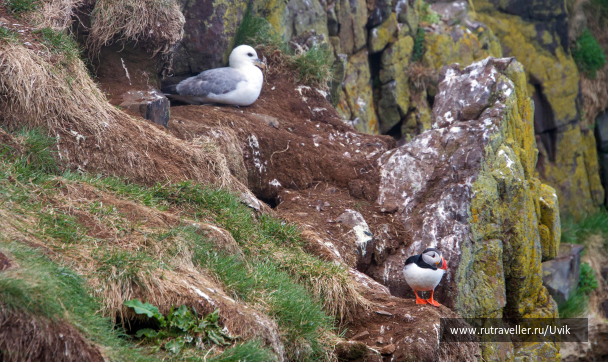 photo 2115748