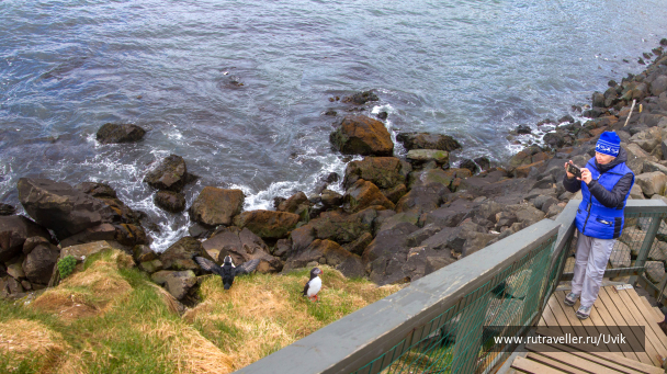 photo 2121249
