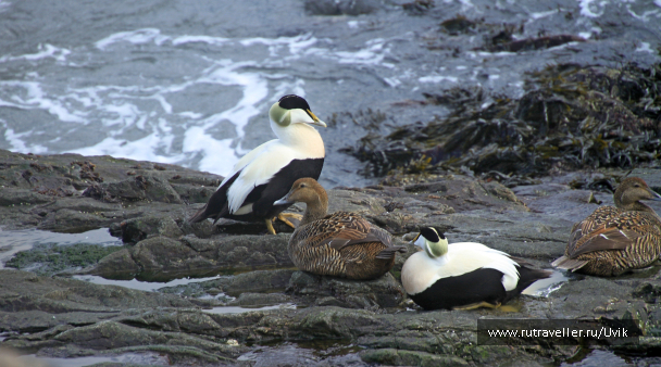 photo 2122378