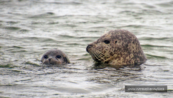 photo 2108784