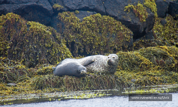 photo 2110666