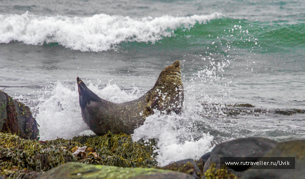 photo 2110979
