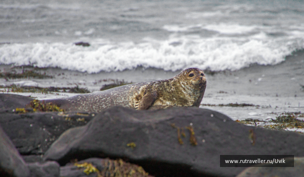 photo 2110980
