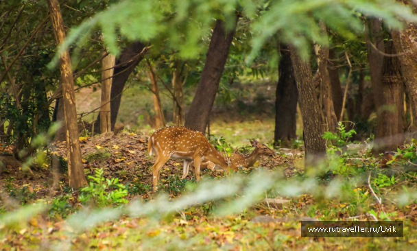 photo 2157710