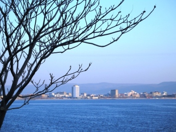 photo 148543