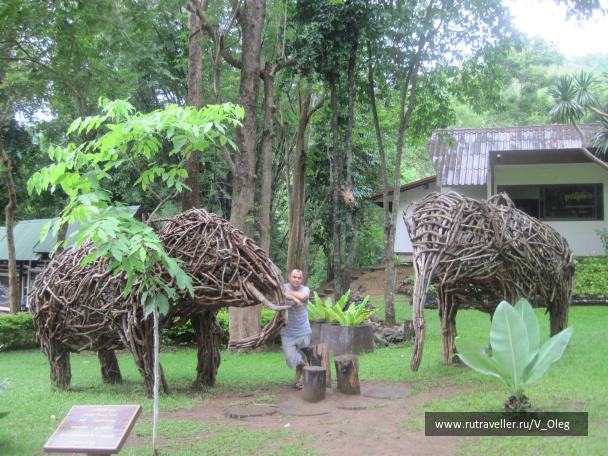 photo 266953