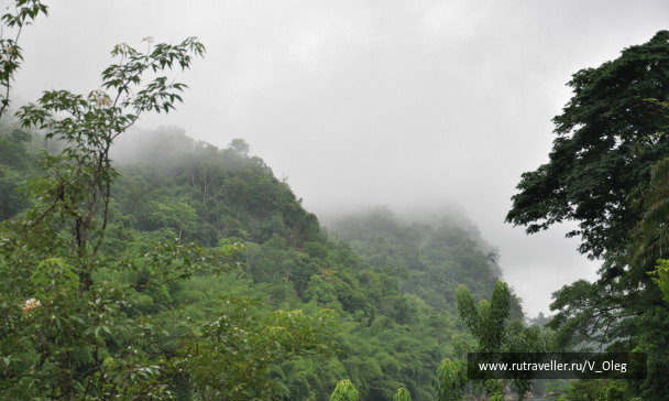 photo 266960