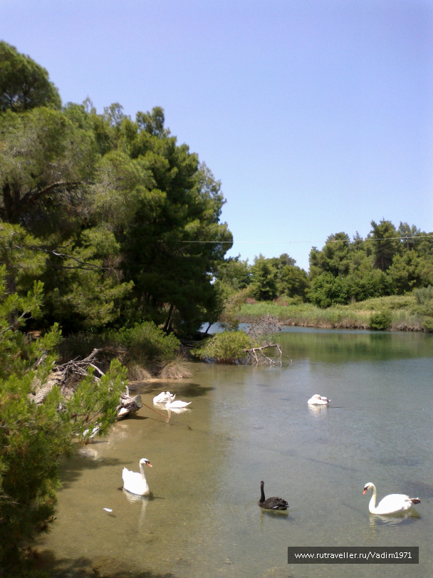 photo 425509