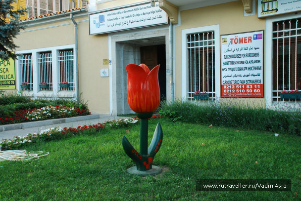 photo 693879