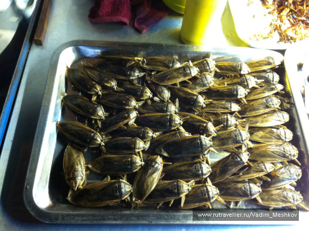 photo 516849