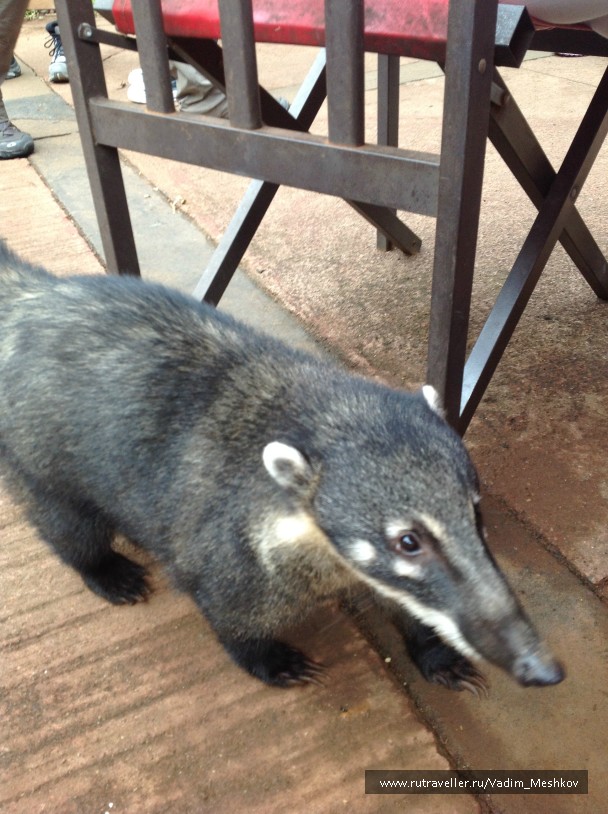 photo 847850