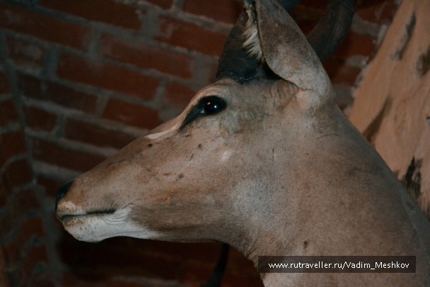 photo 847927