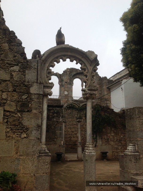 photo 878480