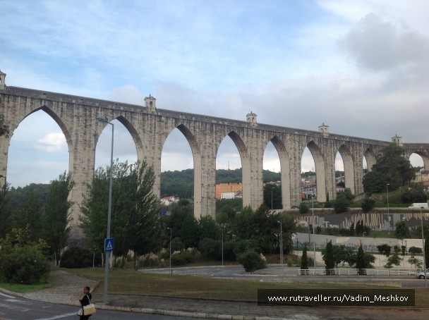 photo 878483