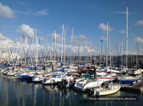 photo 878510