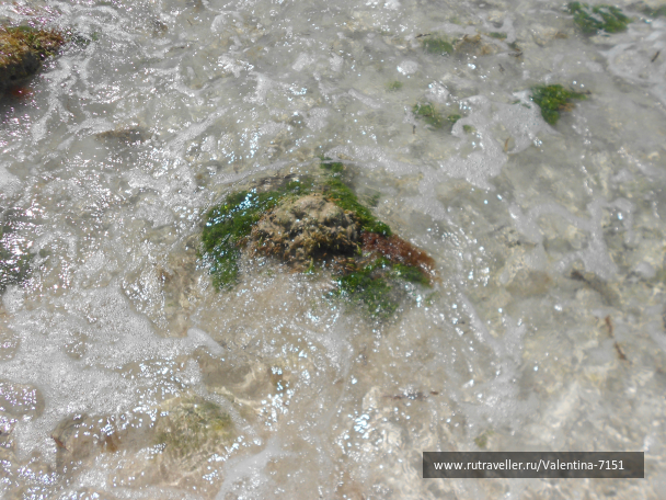 photo 684283