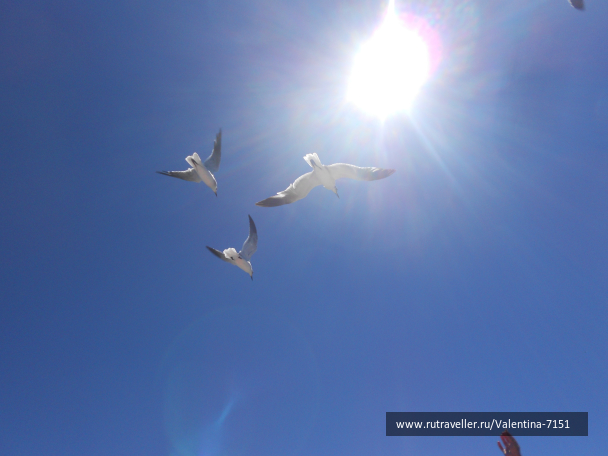 photo 684295