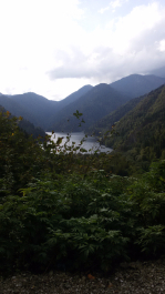 photo 1154120
