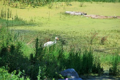 photo 1257519