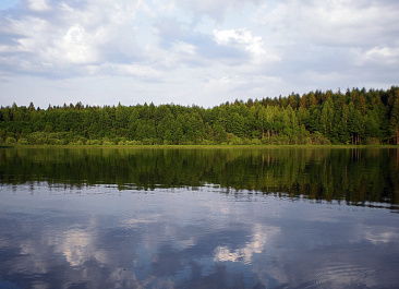photo 226078