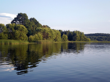 photo 226079
