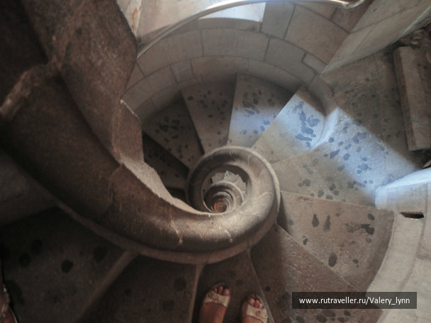 photo 99889