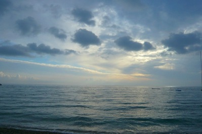 photo 372516