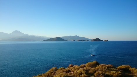 photo 876744