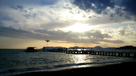 photo 877635