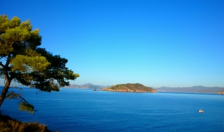photo 883004