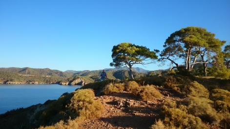 photo 883005