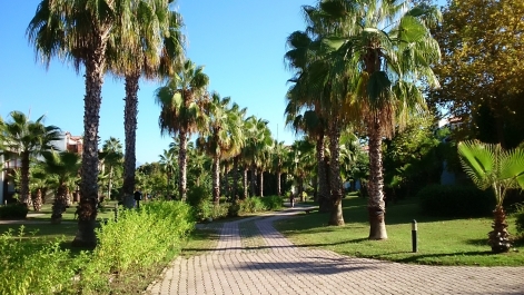 photo 883012